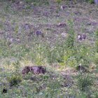 20112308130827-513.jpg